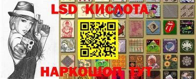 крисы Краснодар