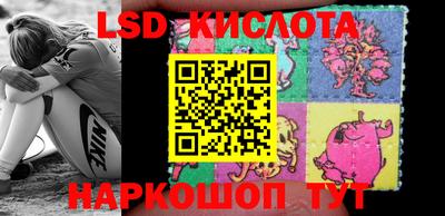 крисы Краснодар