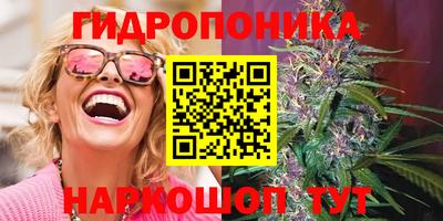 крисы Краснодар