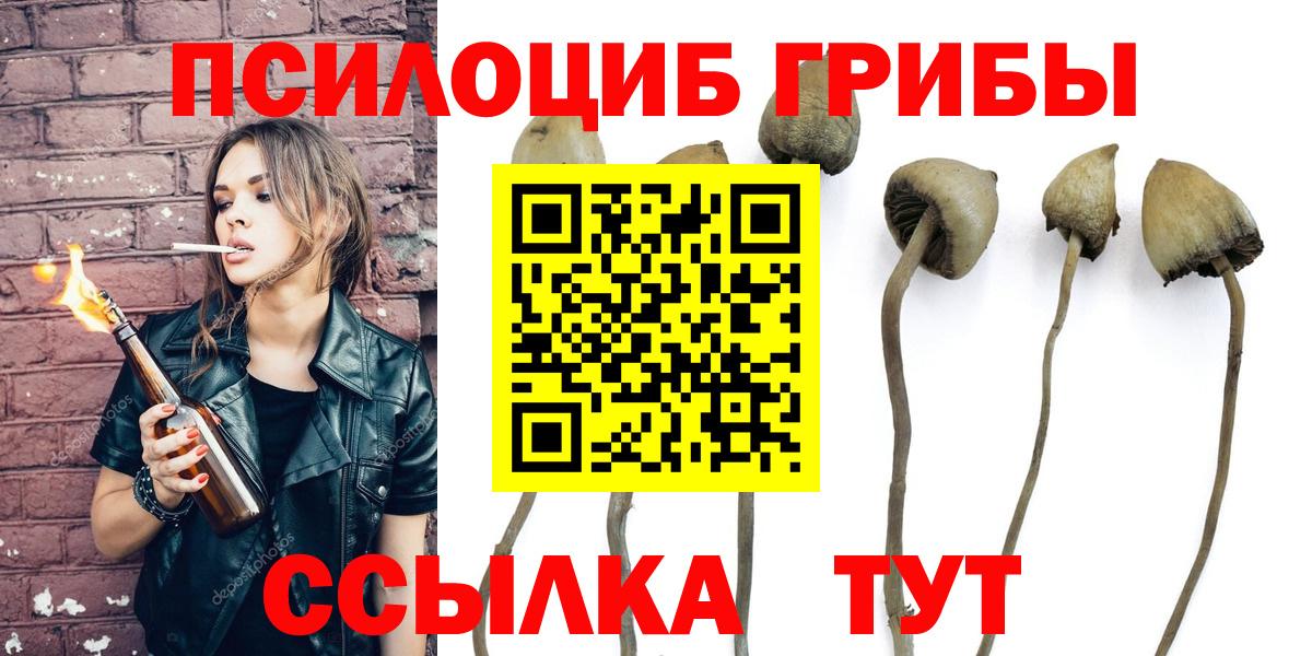 Псилоцибиновые грибы Magic Shrooms  Вход с VPN  Кингисепп 